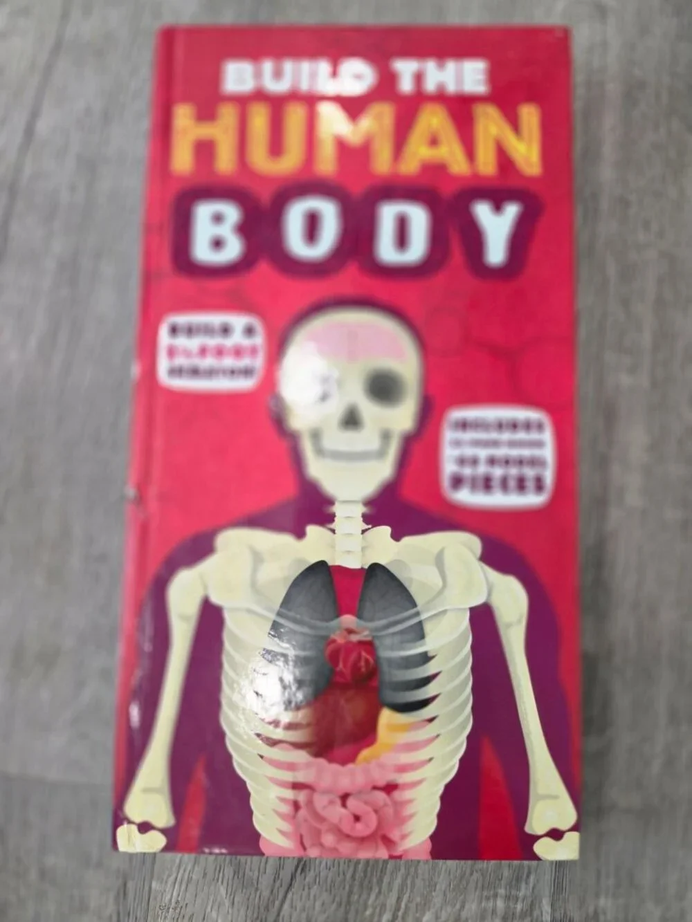 Build The Human Body Interactive Model Book With 66 Pieces & 32-Page Guide